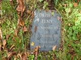 image of grave number 187918